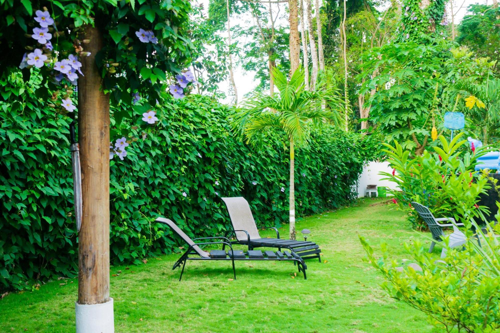 Olivia Del Caribe Suite Puerto Viejo de Talamanca Exterior foto