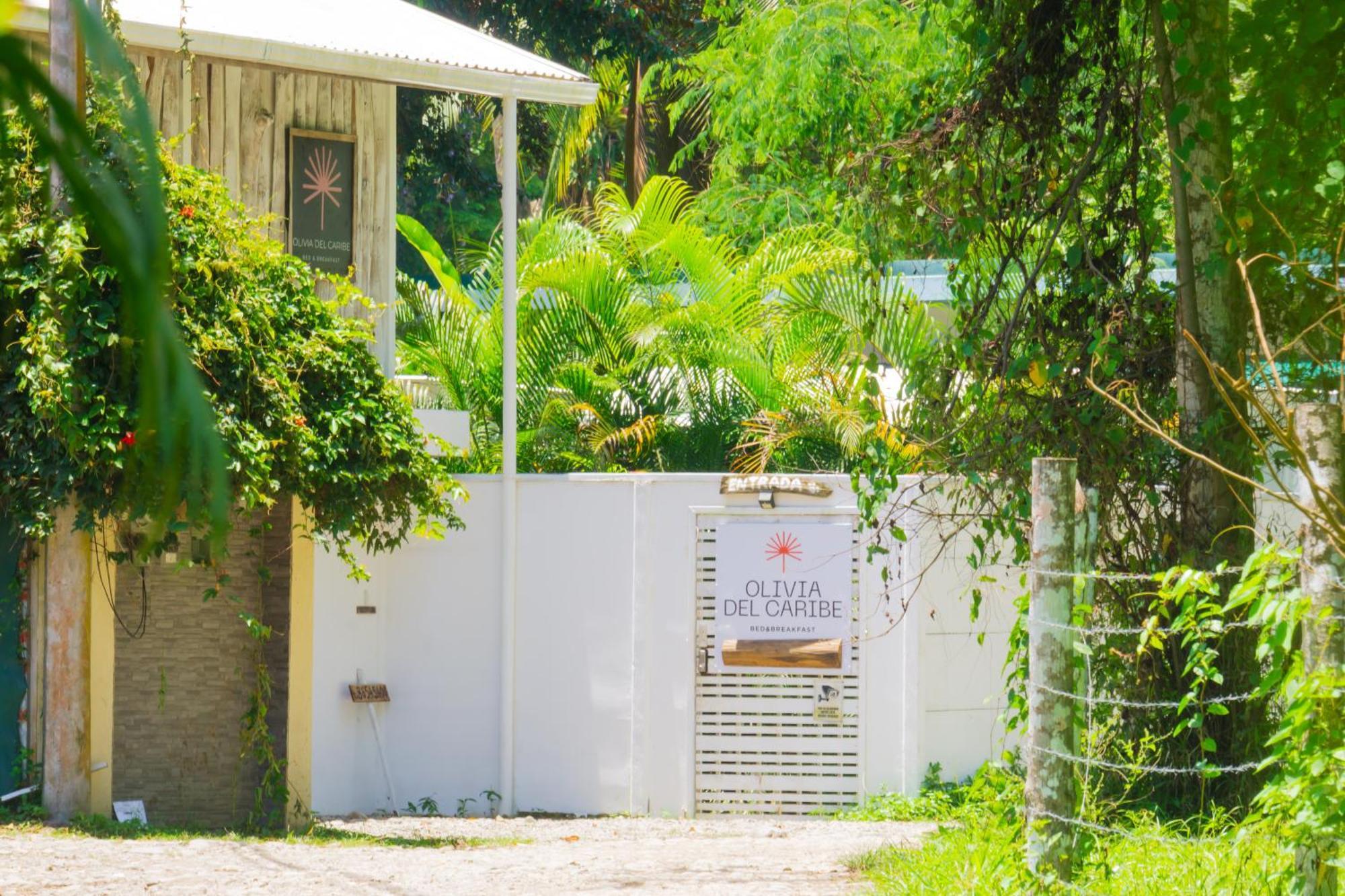 Olivia Del Caribe Suite Puerto Viejo de Talamanca Exterior foto